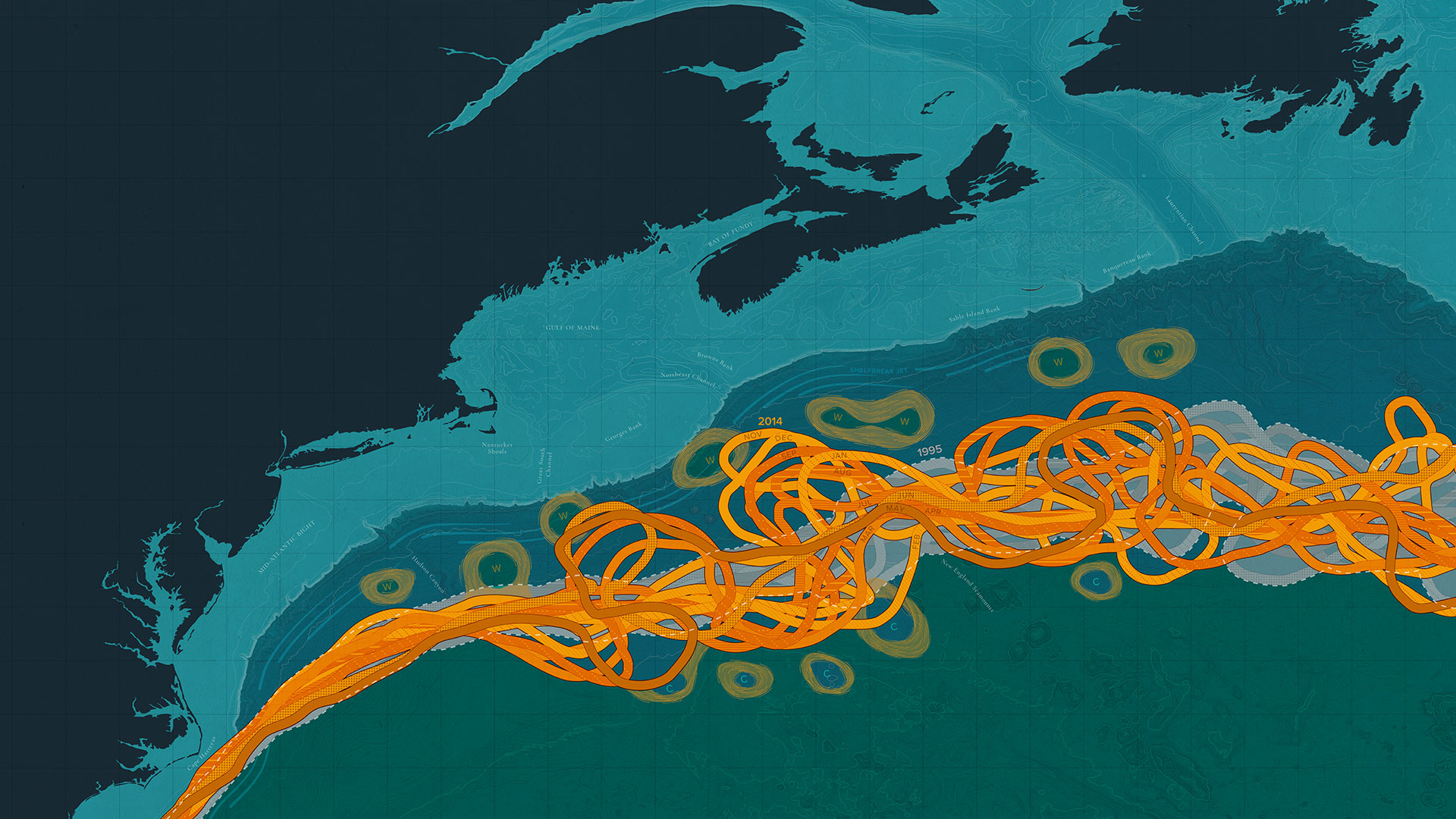 Gulf Stream ocean currents